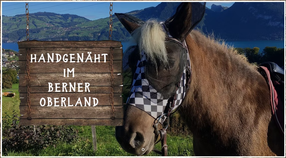 Franziska Lauber - Fliegenmasken