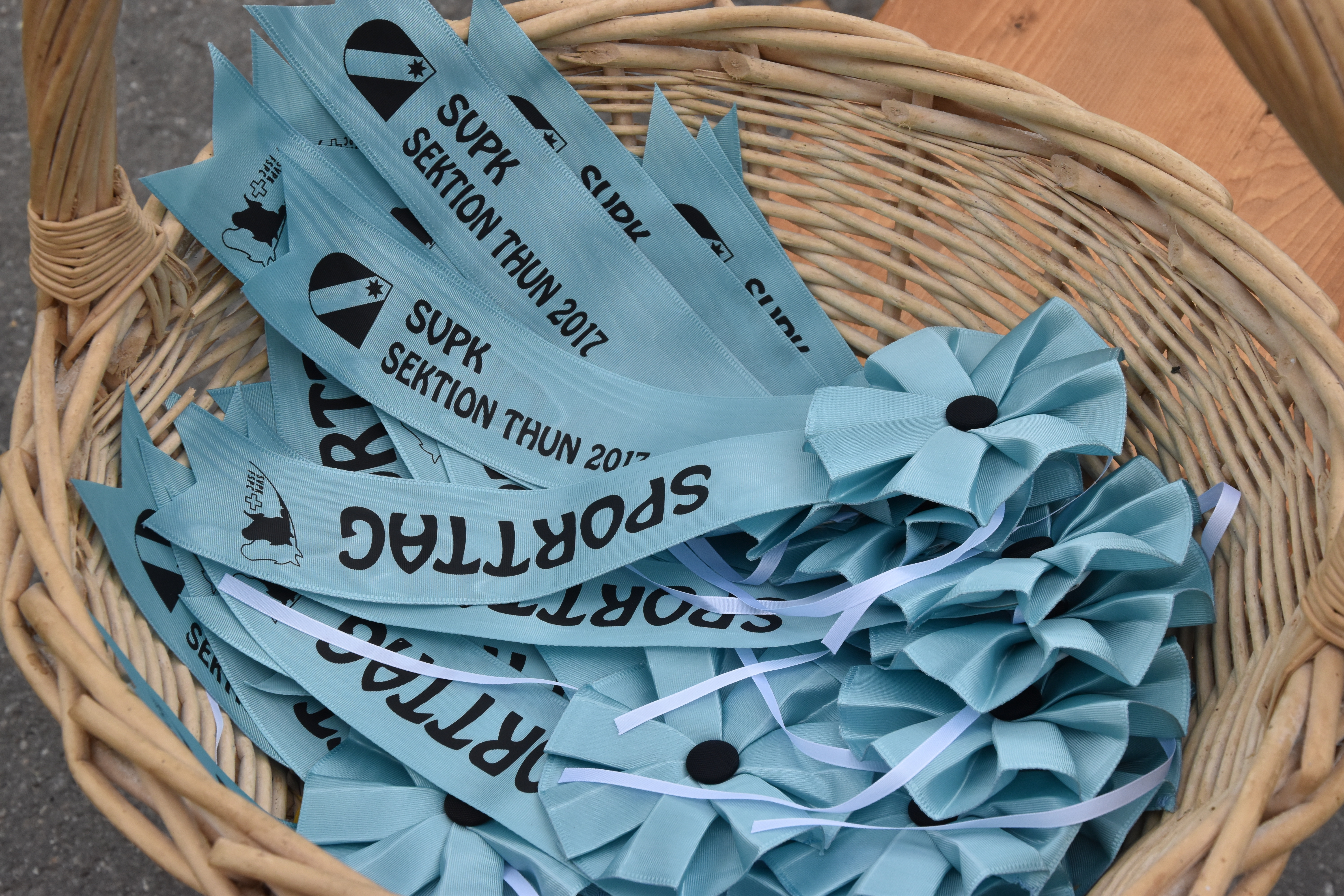 Pferde im Berner Oberland